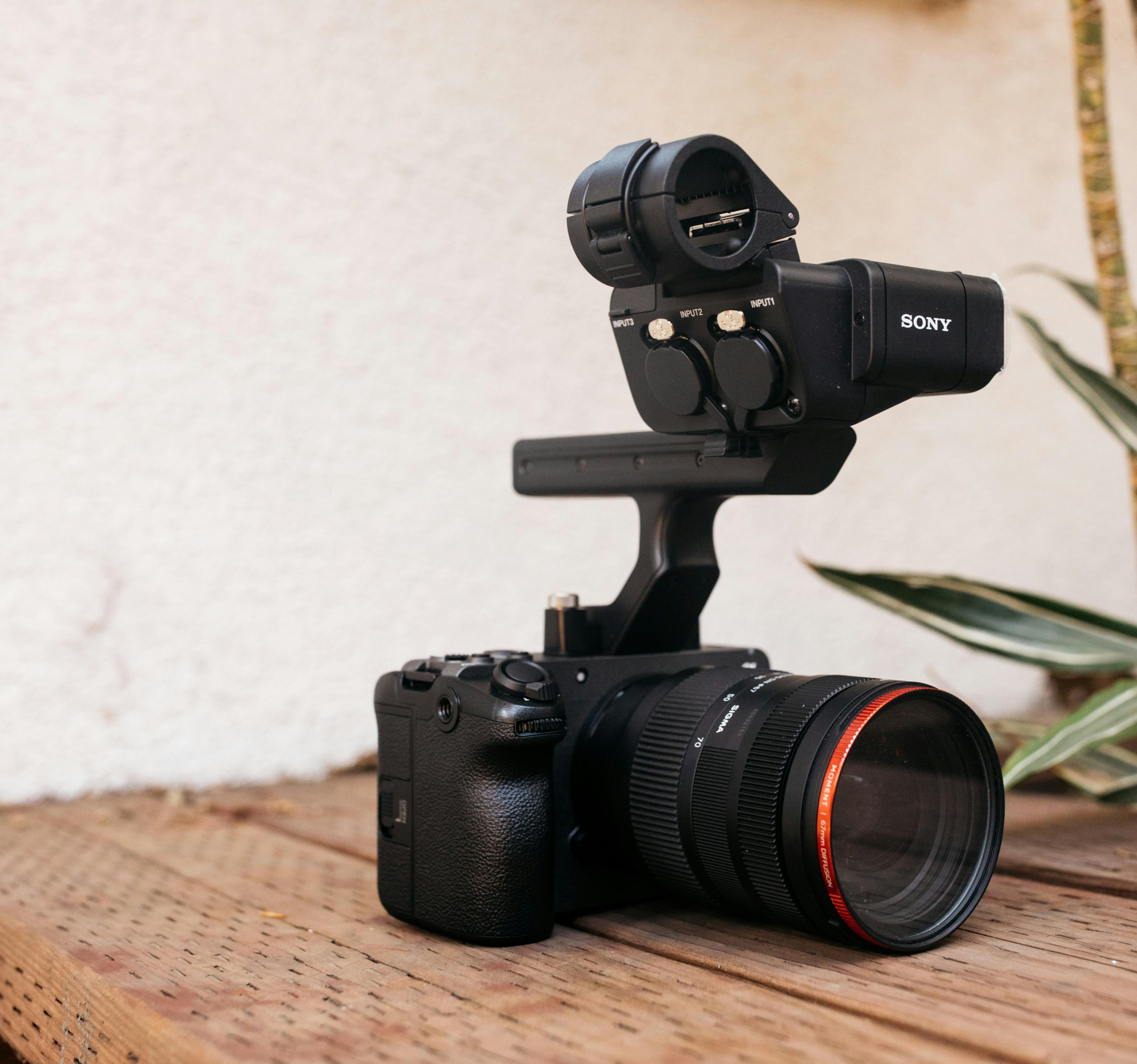 Top Cameras for Beginner Filmmakers, Sony, Canon, & More