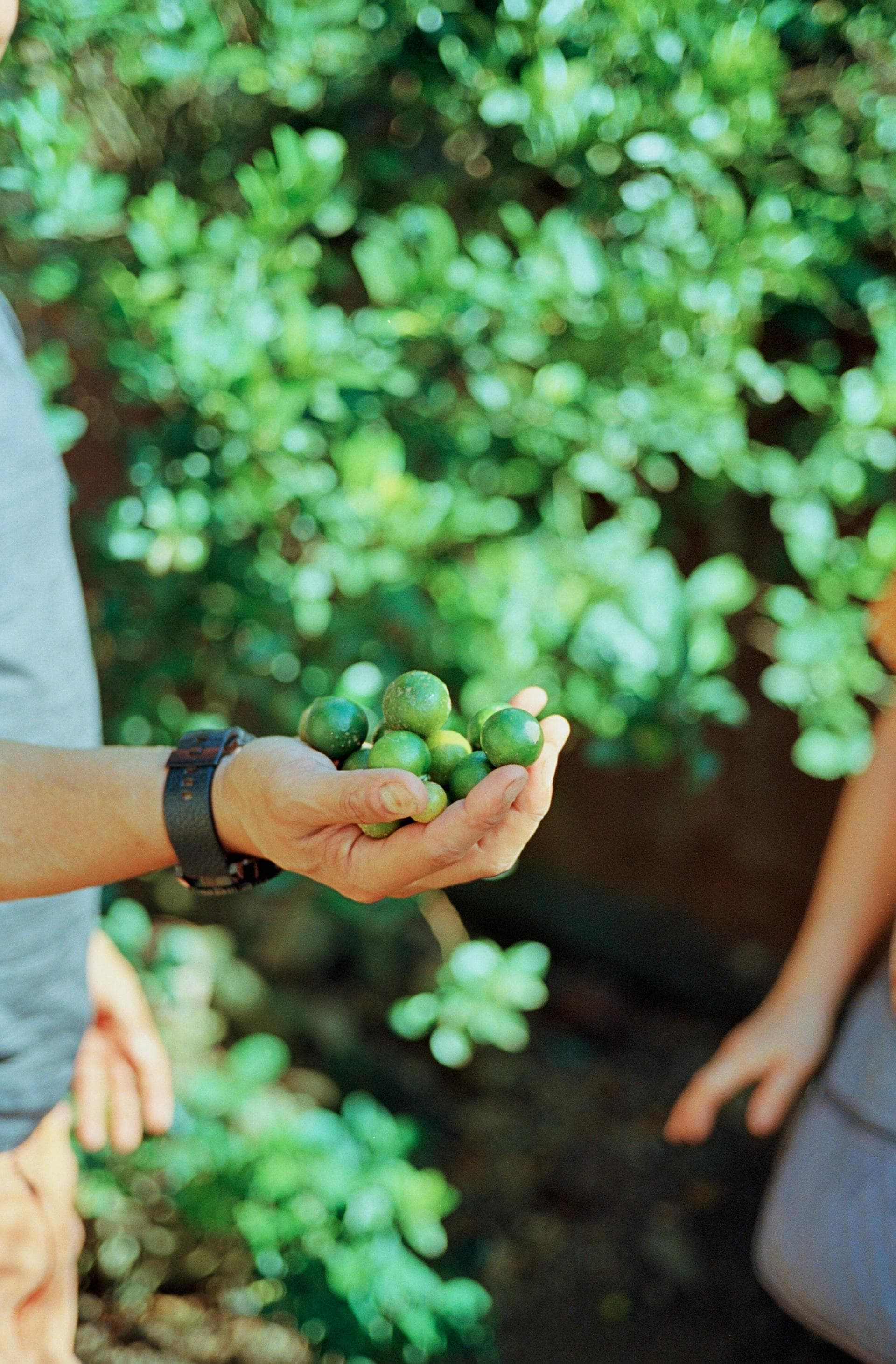 Kodak Ektar 100 on 35mm Film by @akiremae